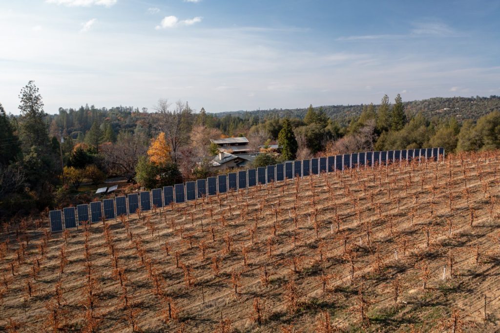 Sunzaun Vertical Solar Installation on a Winery