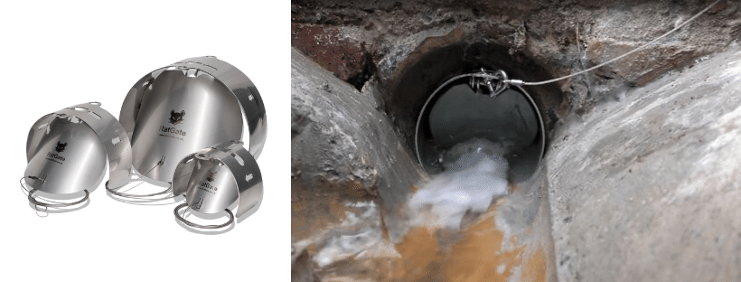 Ratgate drain protection device