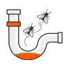 Drain Flies